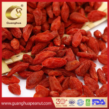 Wholesale Best Quality Preserved Gojiberry Dried Wolfberry